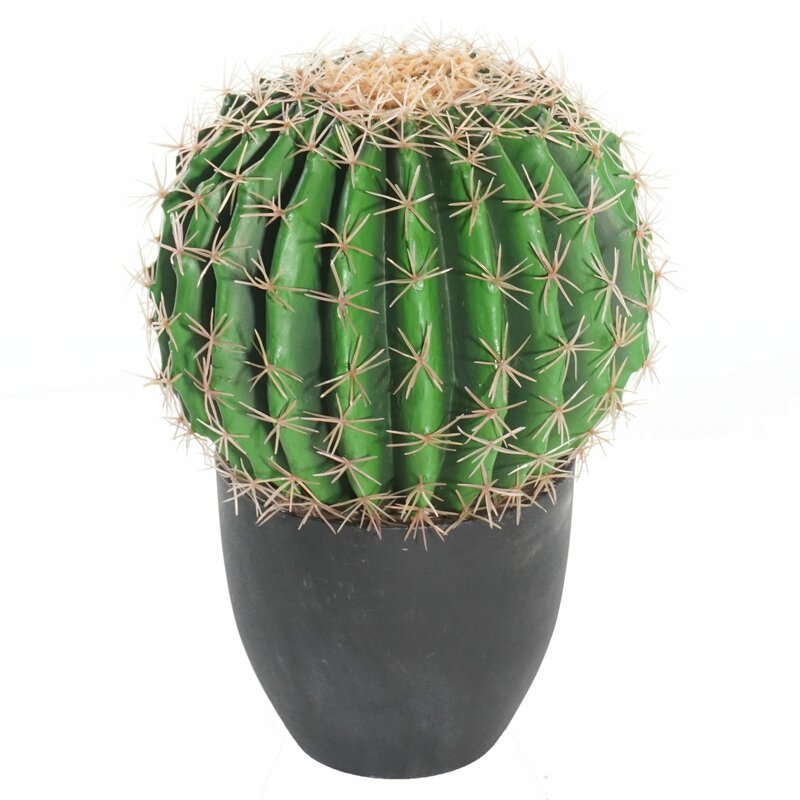 bungalow-rose-barrel-artificial-cactus-plant-in-pot-wayfair
